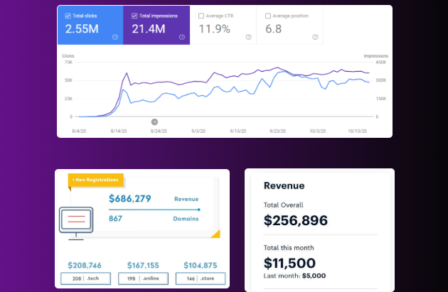 DomainNinja-Profit