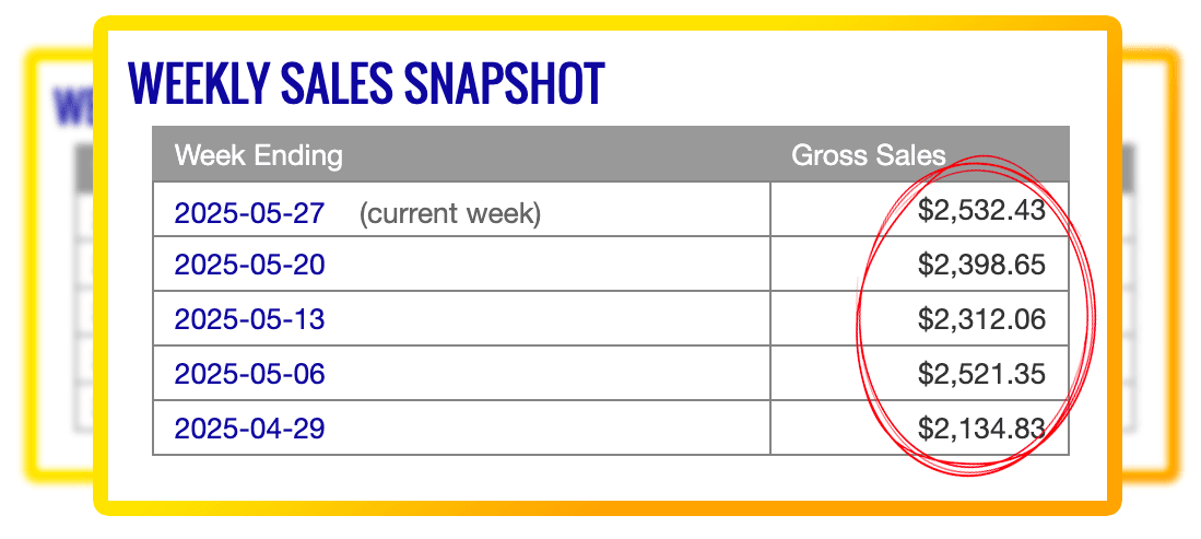 WiFi-Passive-Income-Streams-Weekly-Sales-Report
